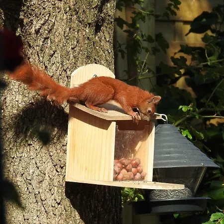 Pfitzmann Apartament Flensburg