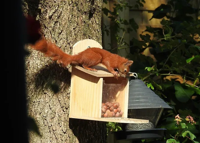 Pfitzmann Apartament Flensburg